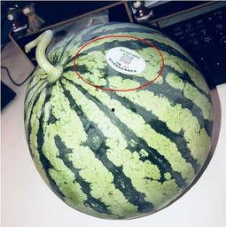 昆明网红吃瓜,揭秘网红圈背后的故事与争议