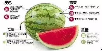 郫县网红吃瓜群微信,揭秘网络社交圈的趣味与争议