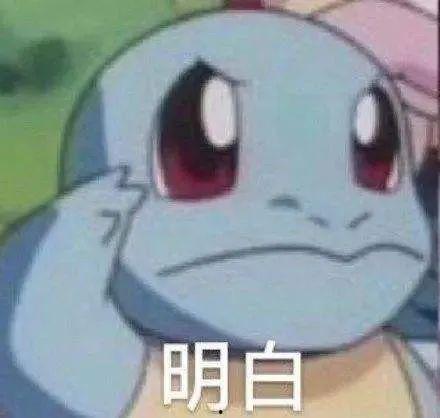 女网红杰尼龟吃瓜视频,揭秘娱乐圈幕后真相