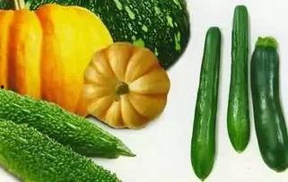 网红吃瓜资源链接,独家资源链接大公开！