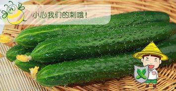 吃瓜网黄色,一场关于黄色内容的网络风波