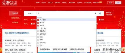 中国知网有什么瓜吃,那些不为人知的“瓜”与争议